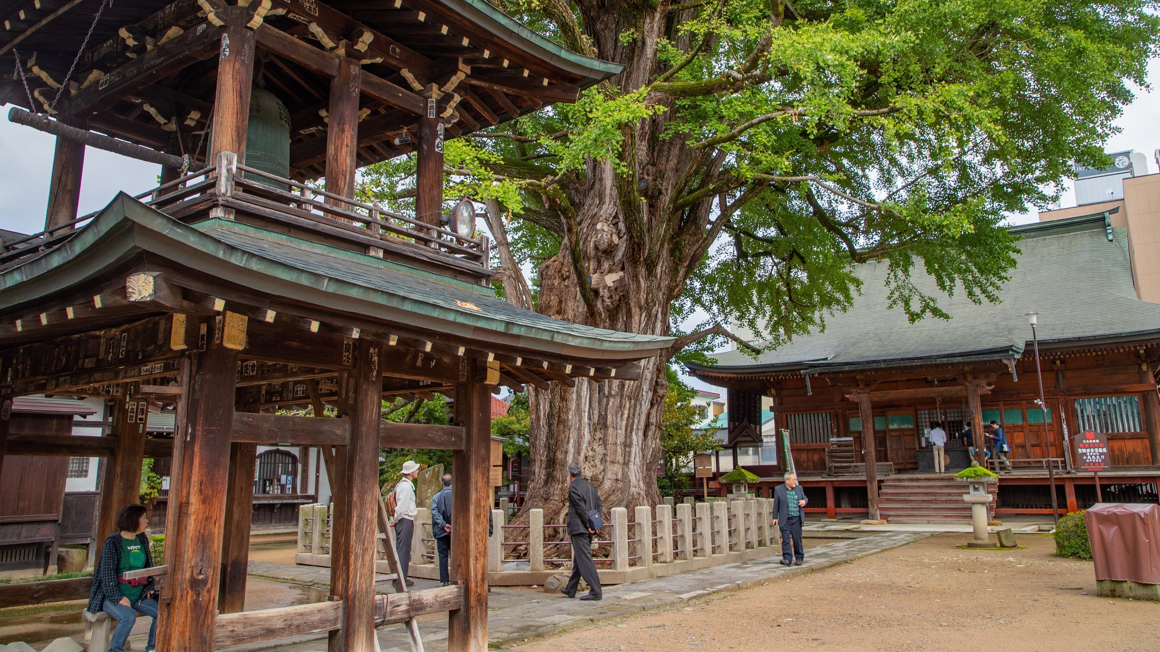 Hida Kokubunji Temple showing a small town or village and heritage elements