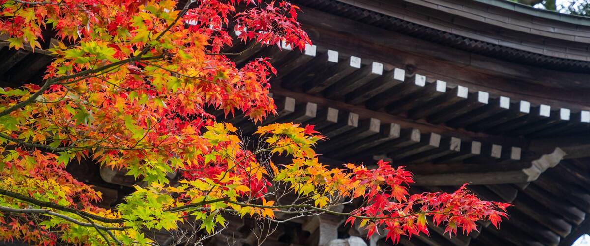 Higashiyama Walking Course which includes heritage elements