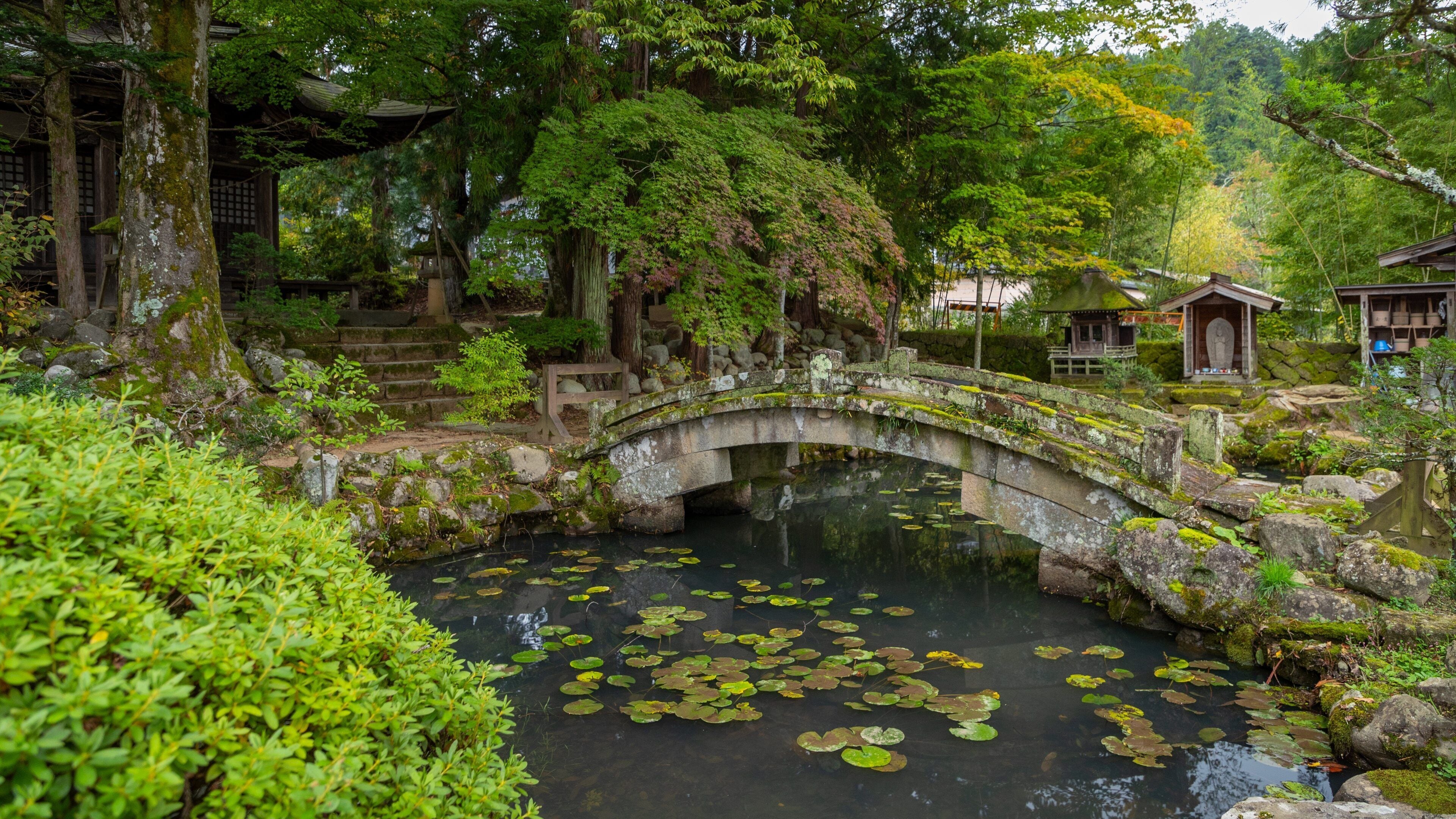 Higashiyama Walking Course which includes a bridge, a park and a pond