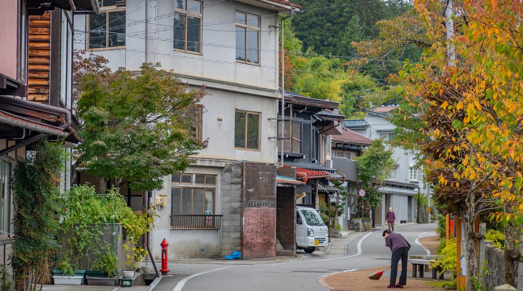 Higashiyama Walking Course as well as an individual femail