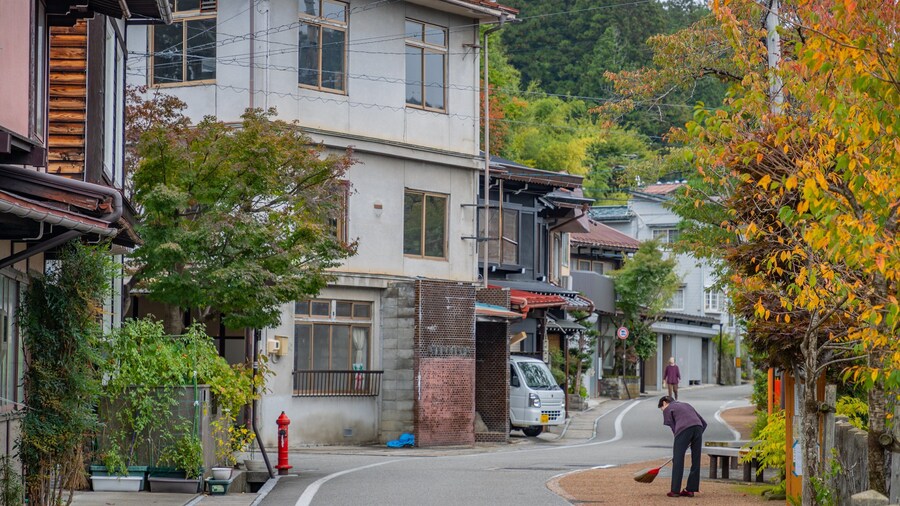 Higashiyama Walking Course as well as an individual femail