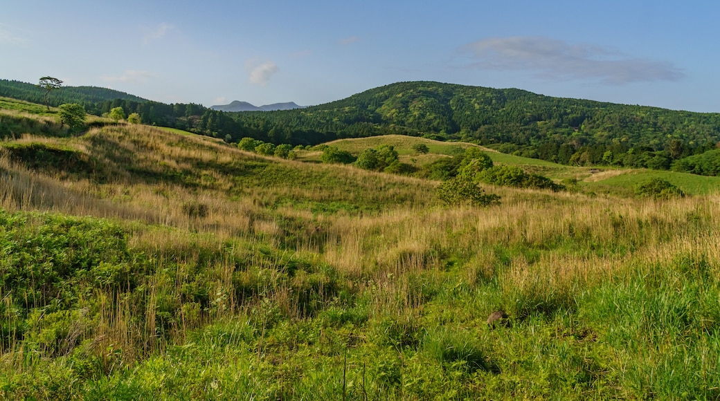 Inatori Hosono Kogen