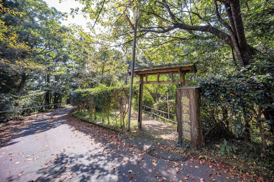 A forested area with a paved path, a wooden archway, and a sign with Chinese characters.
