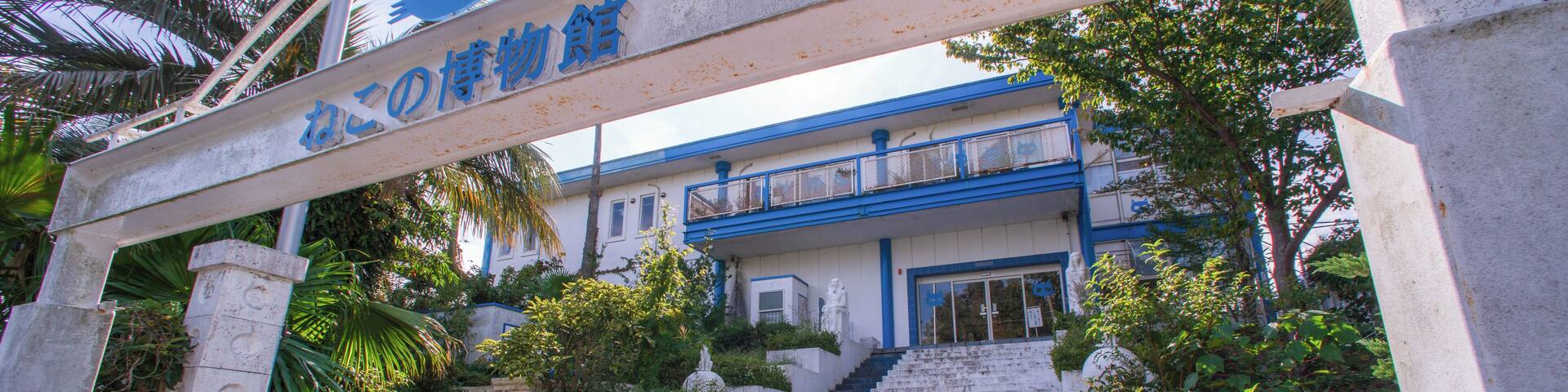 Ito_TheCatMuseum_553248621532773200-9703