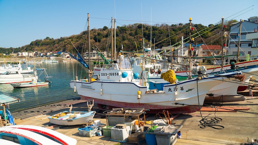 A harbor with several boats docked, a wooden pier, and a hillside in the background.