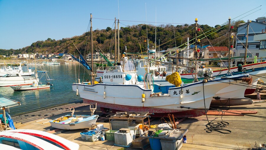 Kawana Beach showing a bay or harbor
