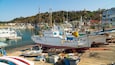 A harbor with several boats docked, a wooden pier, and a hillside in the background.