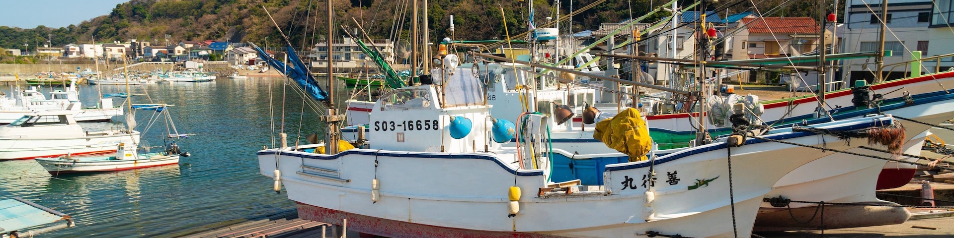 Kawana Beach showing a bay or harbor