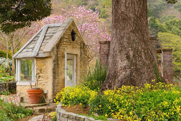 Akao Herb and Rose Garden showing a garden and wildflowers