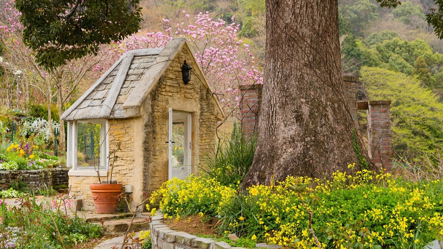 Akao Herb and Rose Garden showing a garden and wildflowers