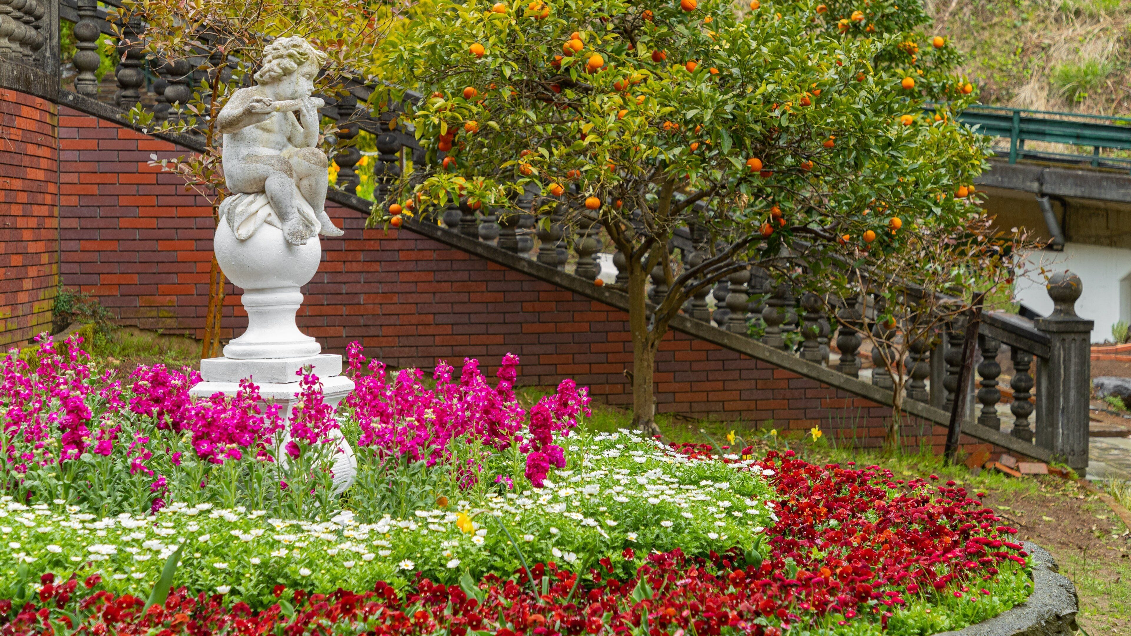 Akao Herb and Rose Garden showing a statue or sculpture, a park and wildflowers
