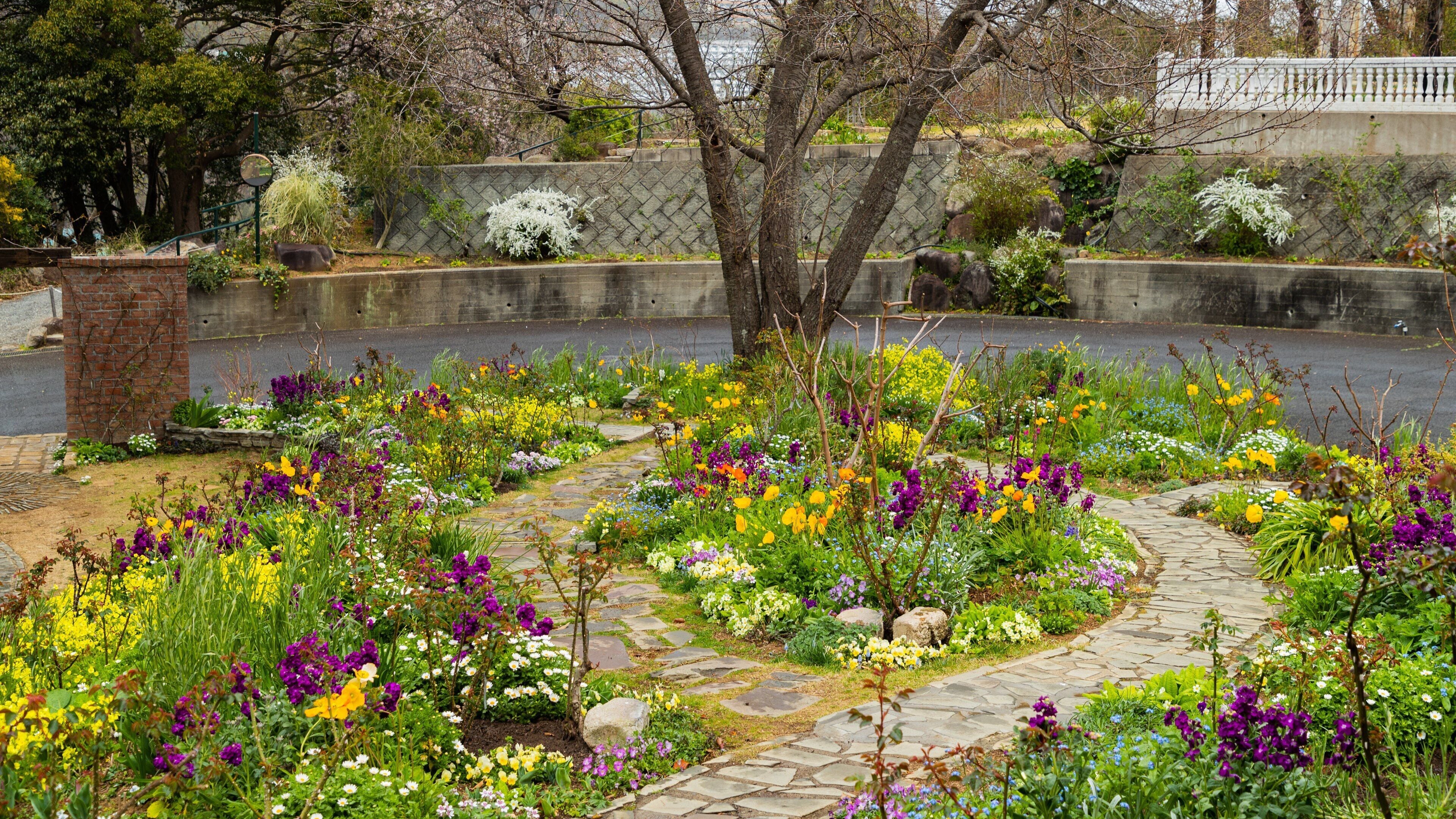 Akao Herb and Rose Garden featuring a garden and wildflowers