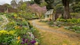Akao Herb and Rose Garden showing wildflowers and a garden