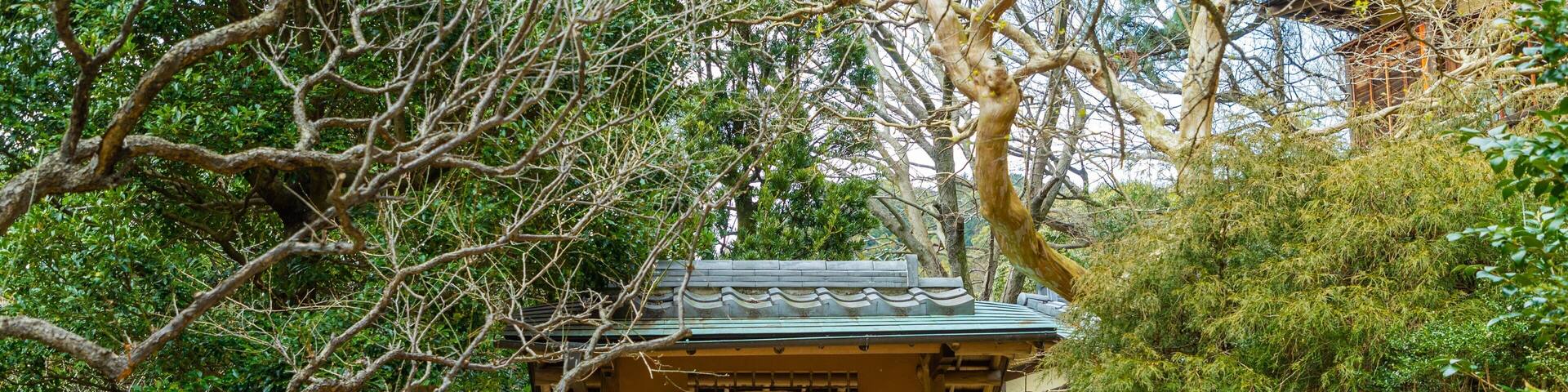 Atami Plum Garden showing a garden