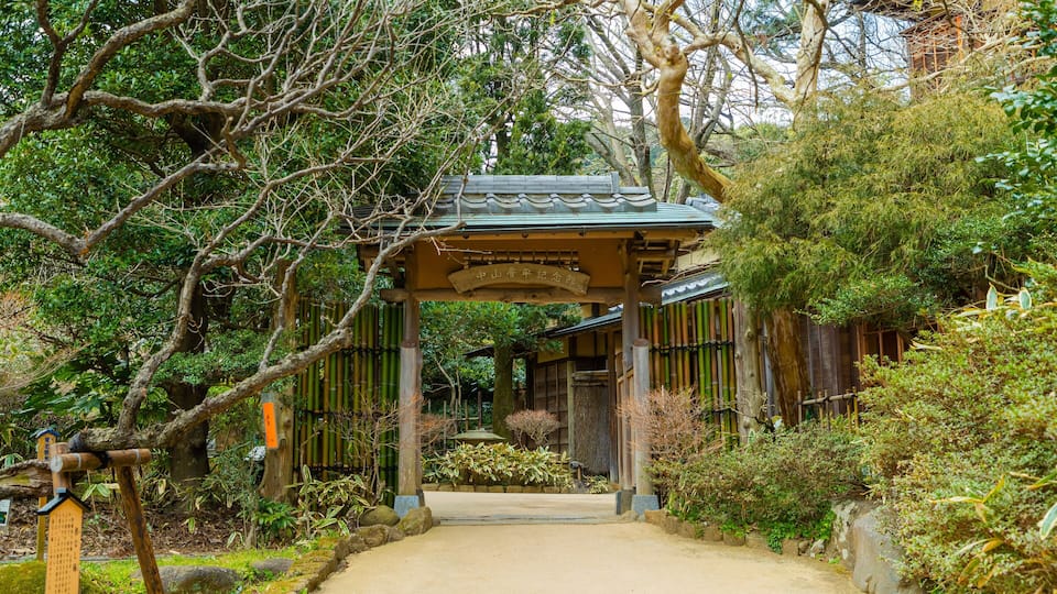 Atami Plum Garden showing a garden