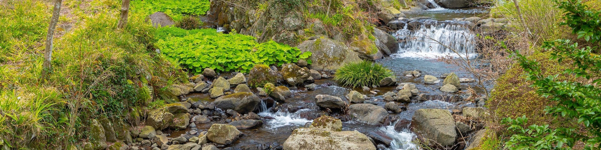 Atami Plum Garden which includes a river or creek