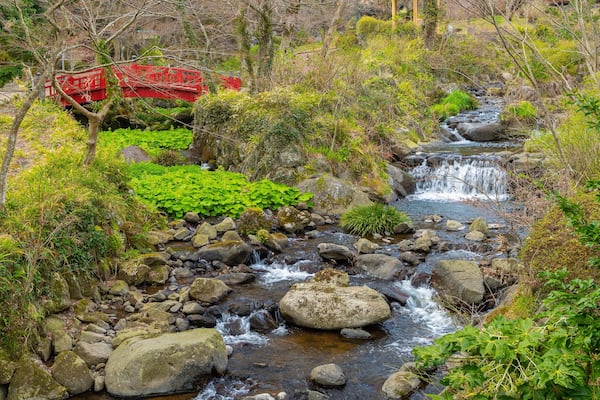 Atami Plum Garden which includes a river or creek