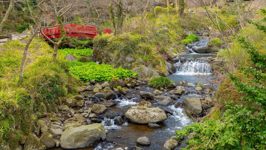 Atami Plum Garden which includes a river or creek