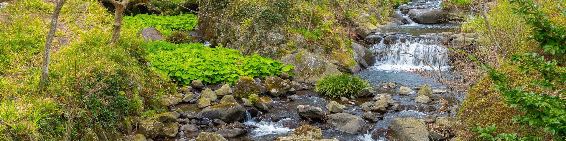 Atami Plum Garden which includes a river or creek