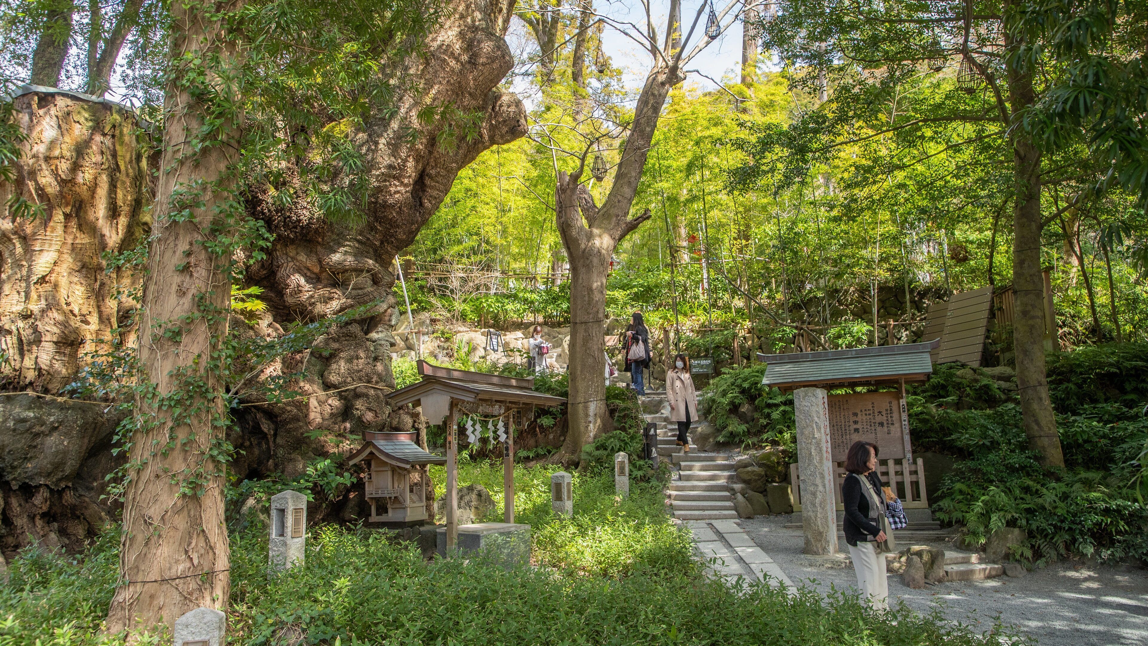 Kinomiya Shrine featuring a garden and heritage elements as well as an individual femail