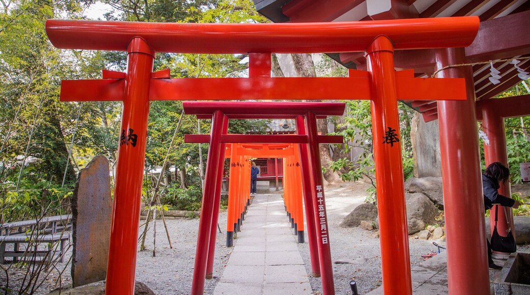 Kinomiya Shrine which includes heritage elements and a garden