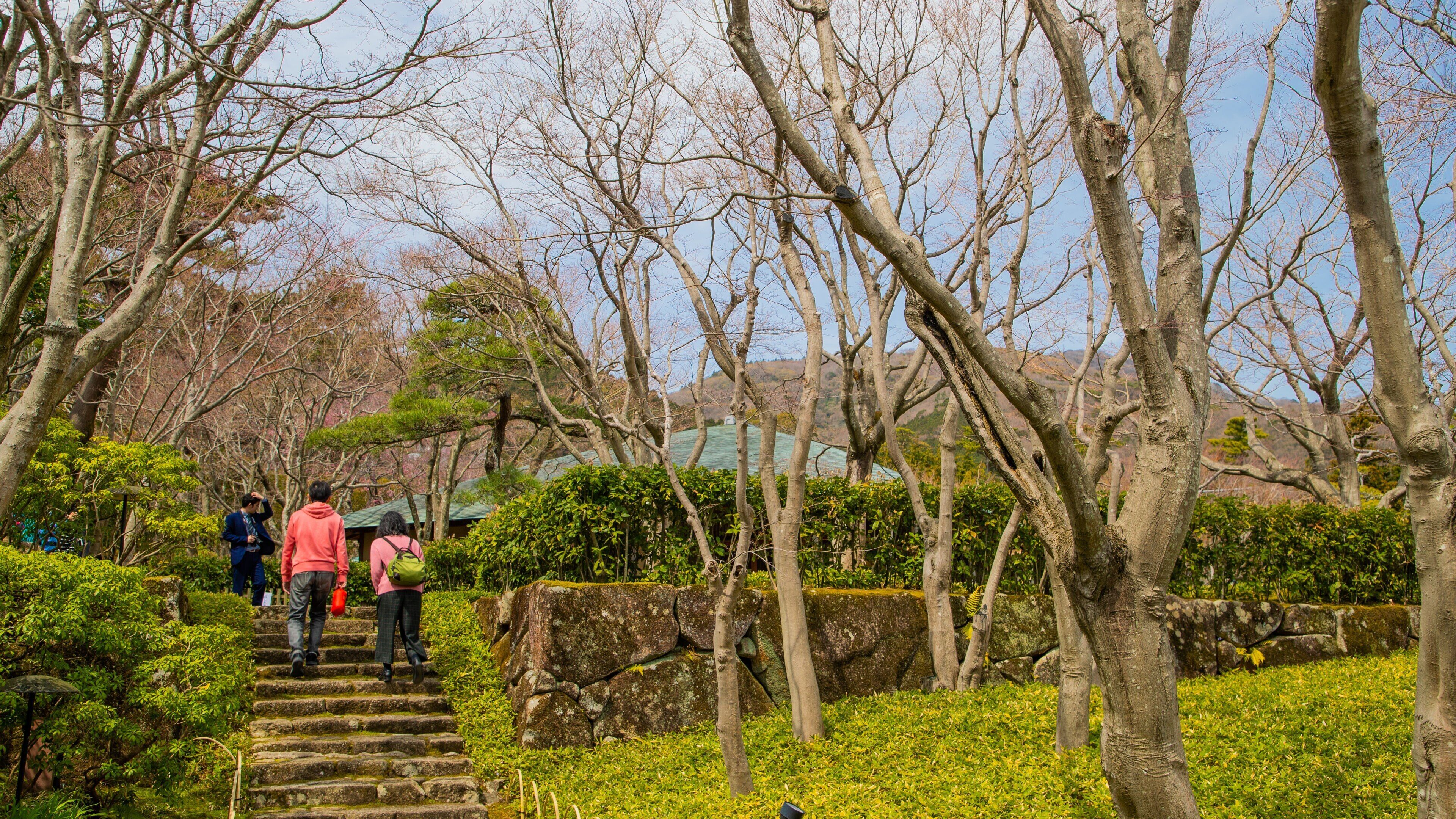 MOA Museum of Art showing a park as well as a couple