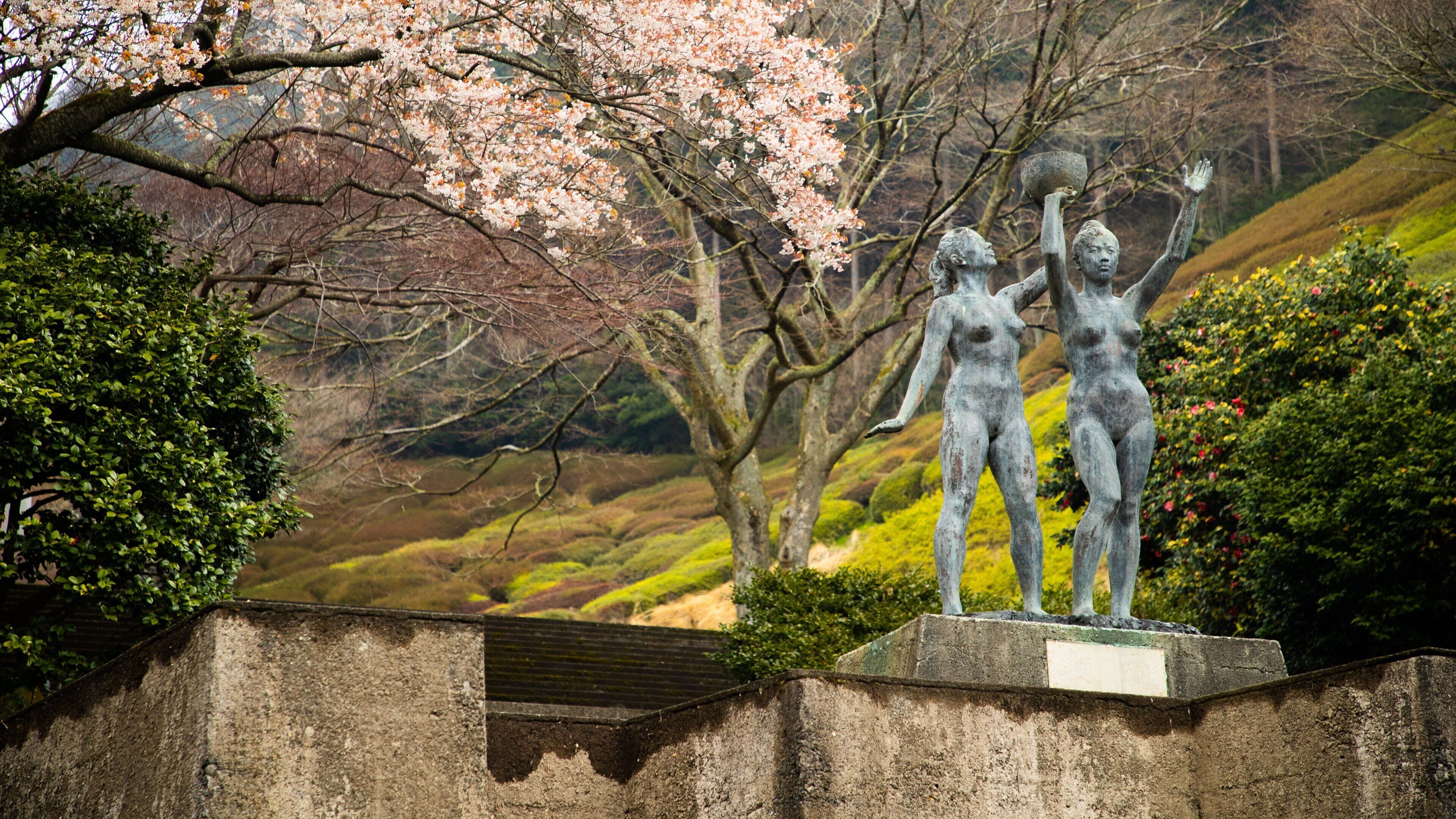 Himenosawa Park showing a statue or sculpture, a park and outdoor art