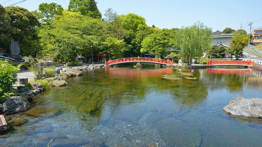 Parque Waketamaike Spring