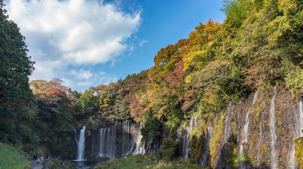 shiraito Waterfall in autumn season with green and red maple tree and blue sky. the Waterfall in the southwestern foothills of mountain Fuji. Japan
