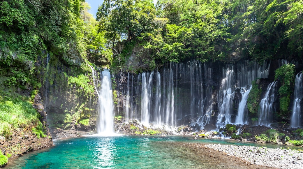 静岡県 白糸の滝