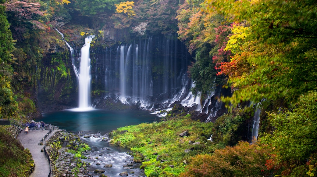 Autumn scene of Shiraito waterfall