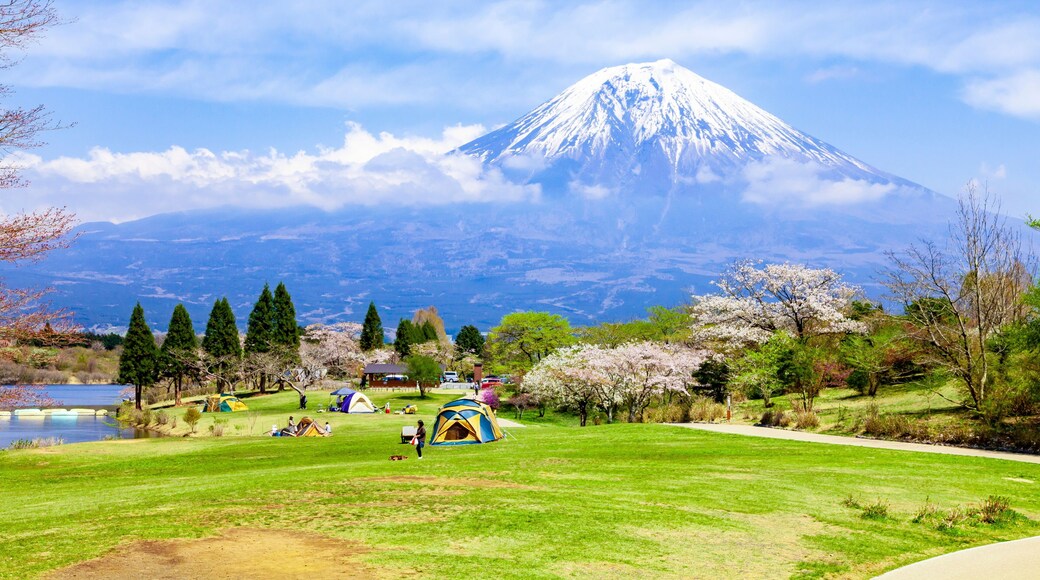 春の富士山と田貫湖キャンプ場、静岡県富士宮市にて