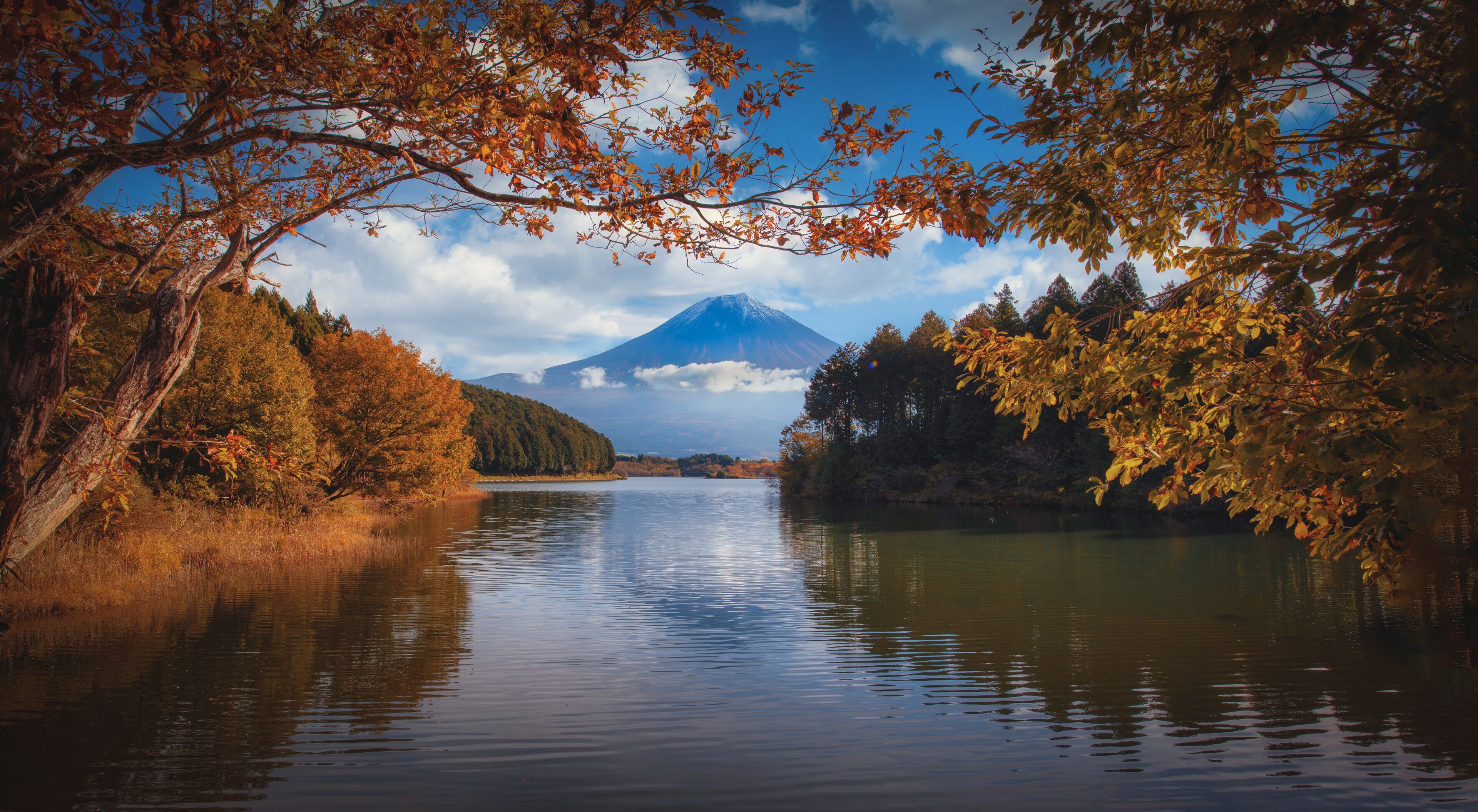 Mt. Fuji over Lake Tanuki with autumn foliage at sunrise in Fujinomiya, Japan.