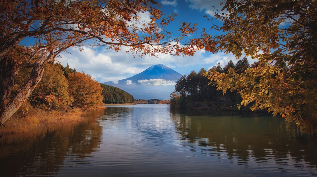 Mt. Fuji over Lake Tanuki with autumn foliage at sunrise in Fujinomiya, Japan.