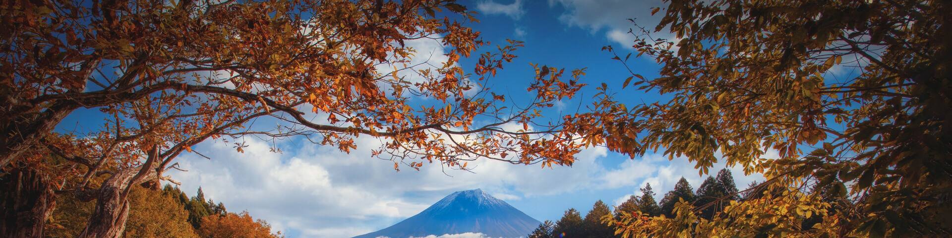 Mt. Fuji over Lake Tanuki with autumn foliage at sunrise in Fujinomiya, Japan.