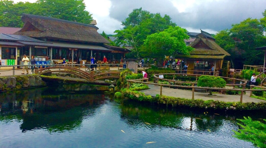 Hidden down a few roads of this village you find the Oshino Hakkai Ponds. Their are 8 in total. These ponds flow with natural spring waters of Mt. Fuji... it is a lovely place. beautiful crystal clear waters in a quaint village.