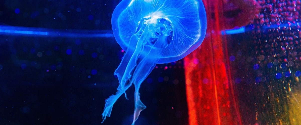 Hakone-en Aquarium which includes marine life and animals