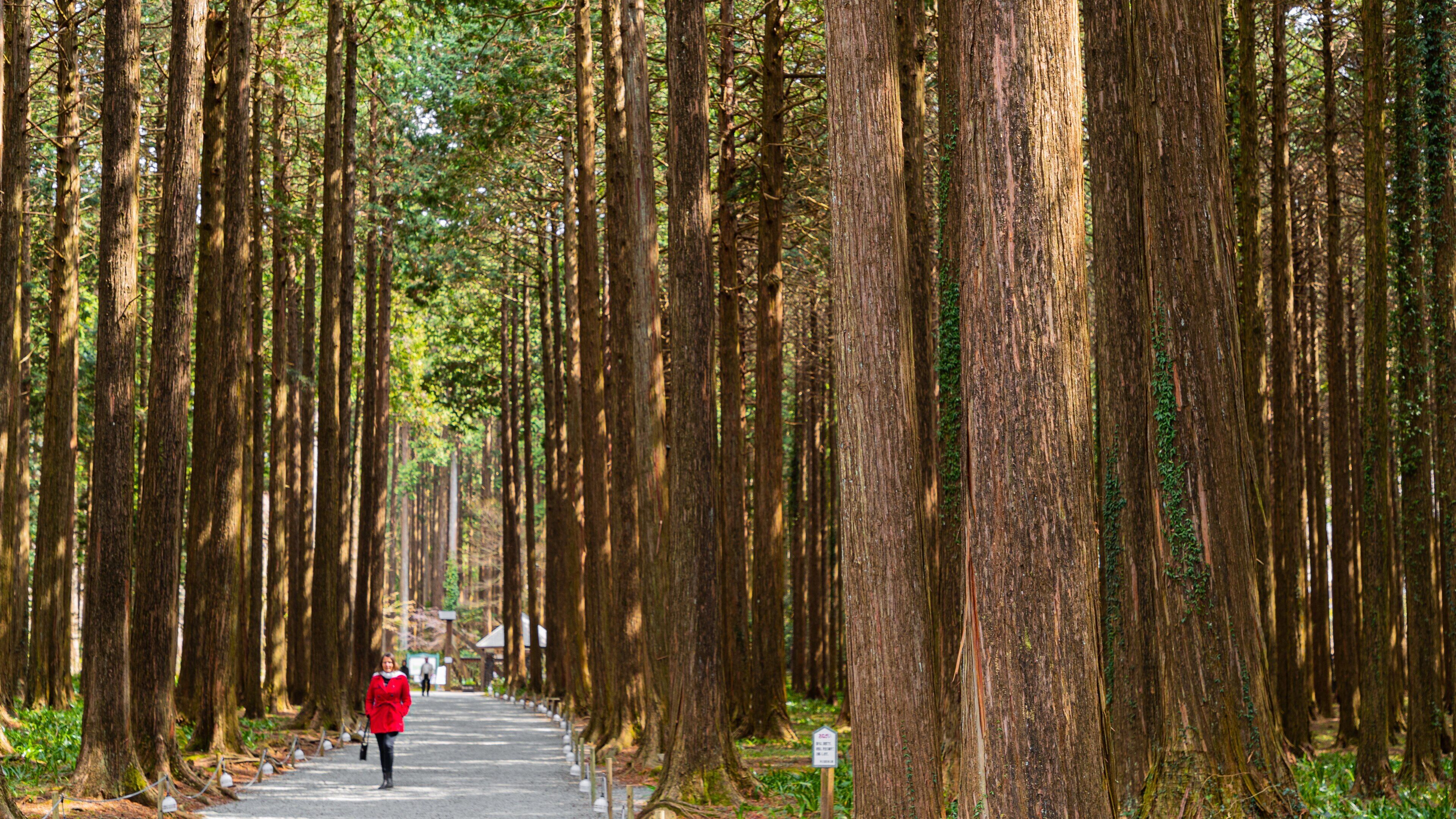 Chichibunomiya Memorial Park which includes a park as well as an individual femail