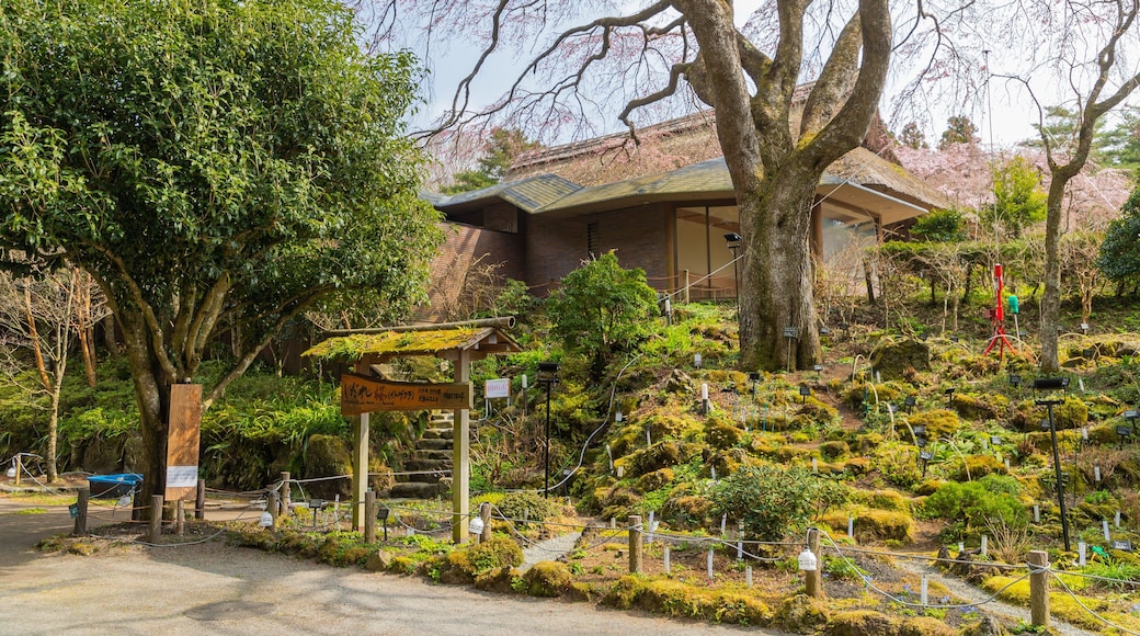 Chichibunomiya Memorial Park showing a park and signage