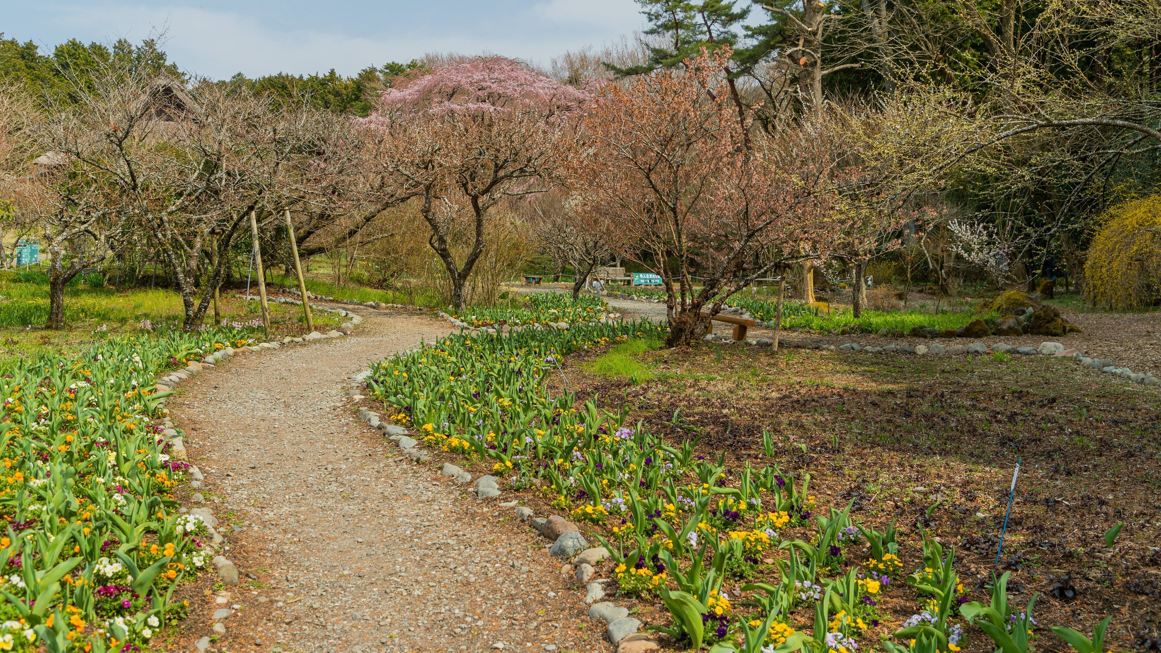 Chichibunomiya Memorial Park showing a garden