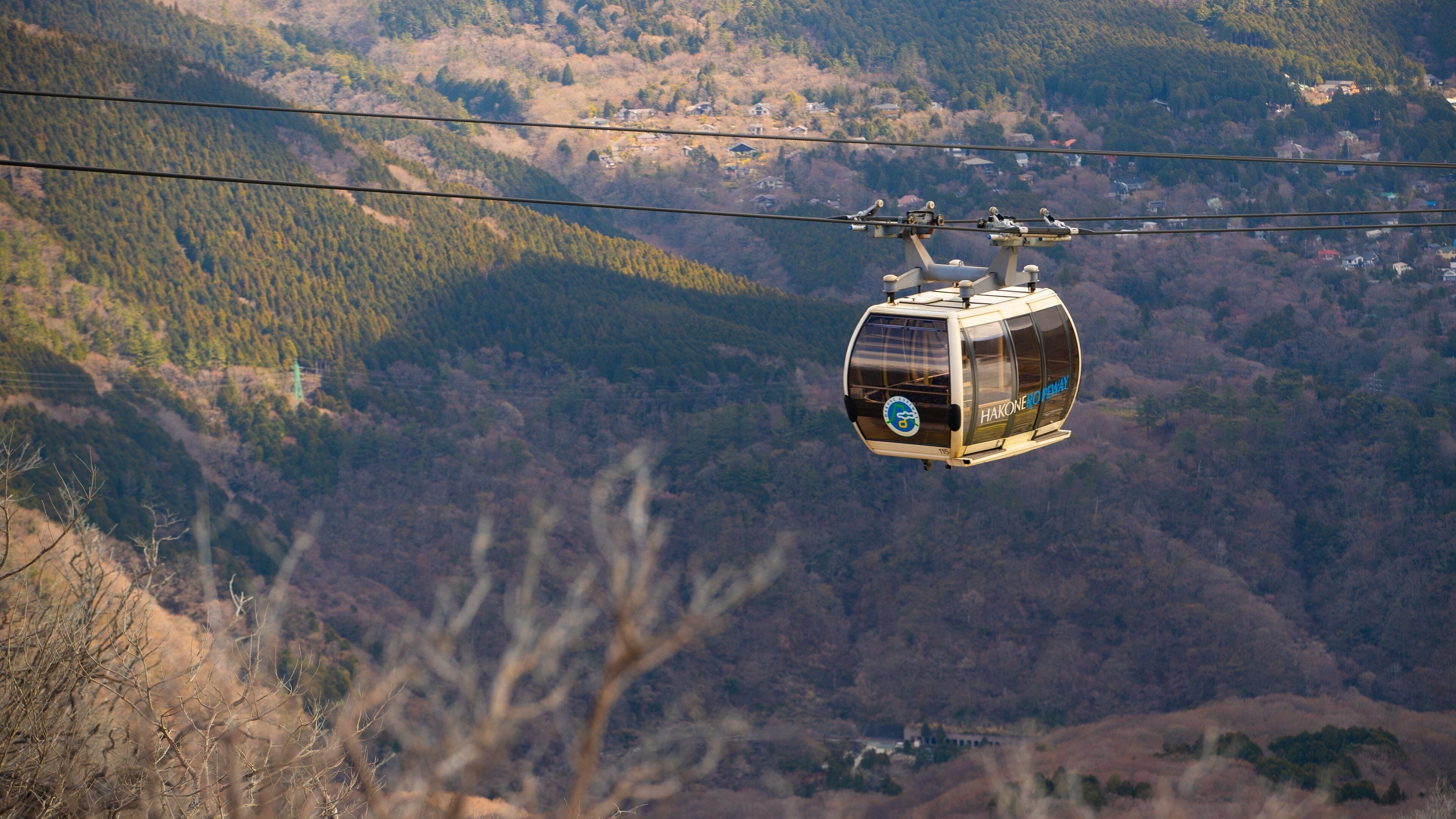 Hakone Ropeway featuring tranquil scenes, landscape views and a gondola