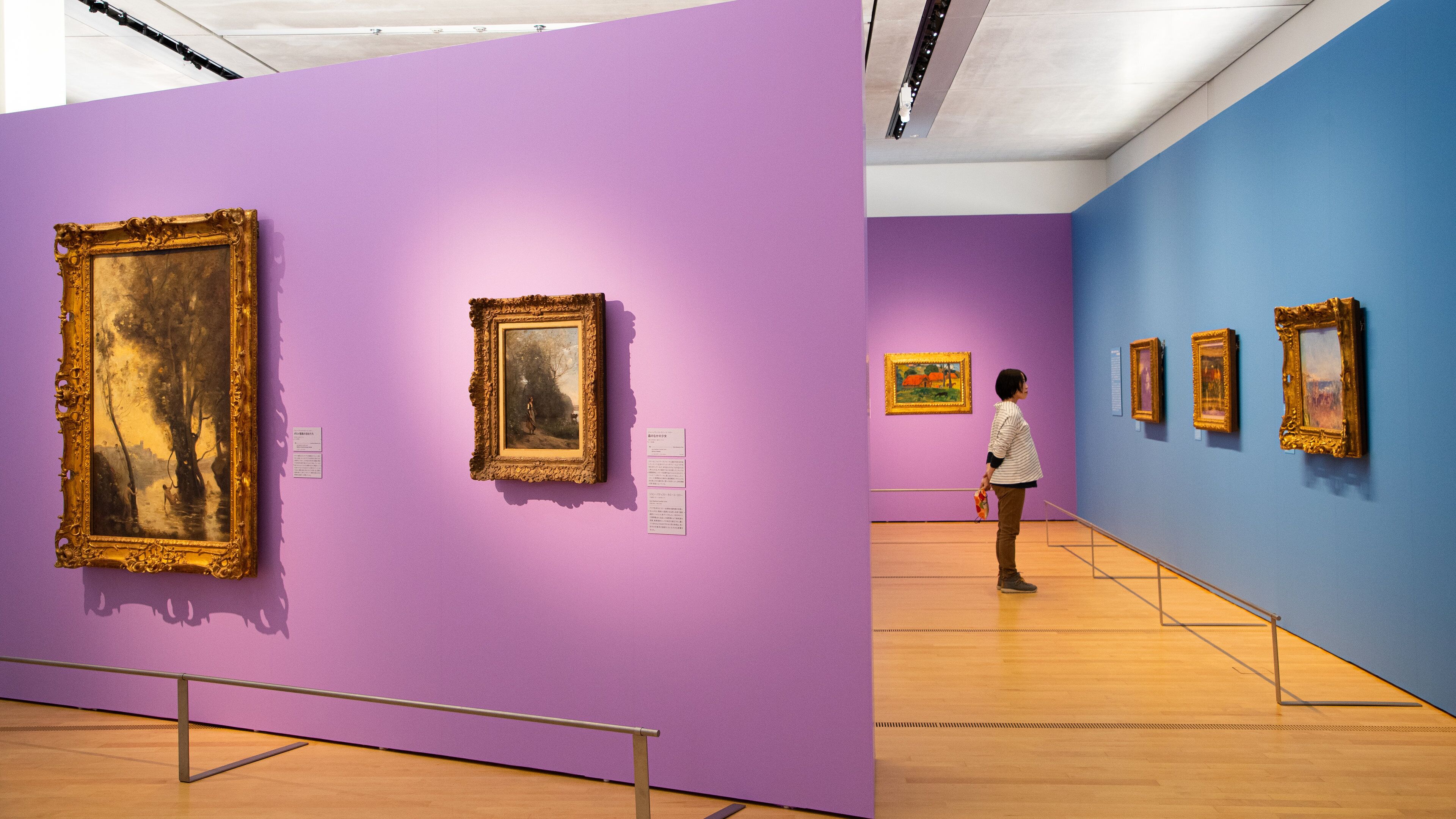 Pola Museum of Art featuring interior views and art as well as an individual femail