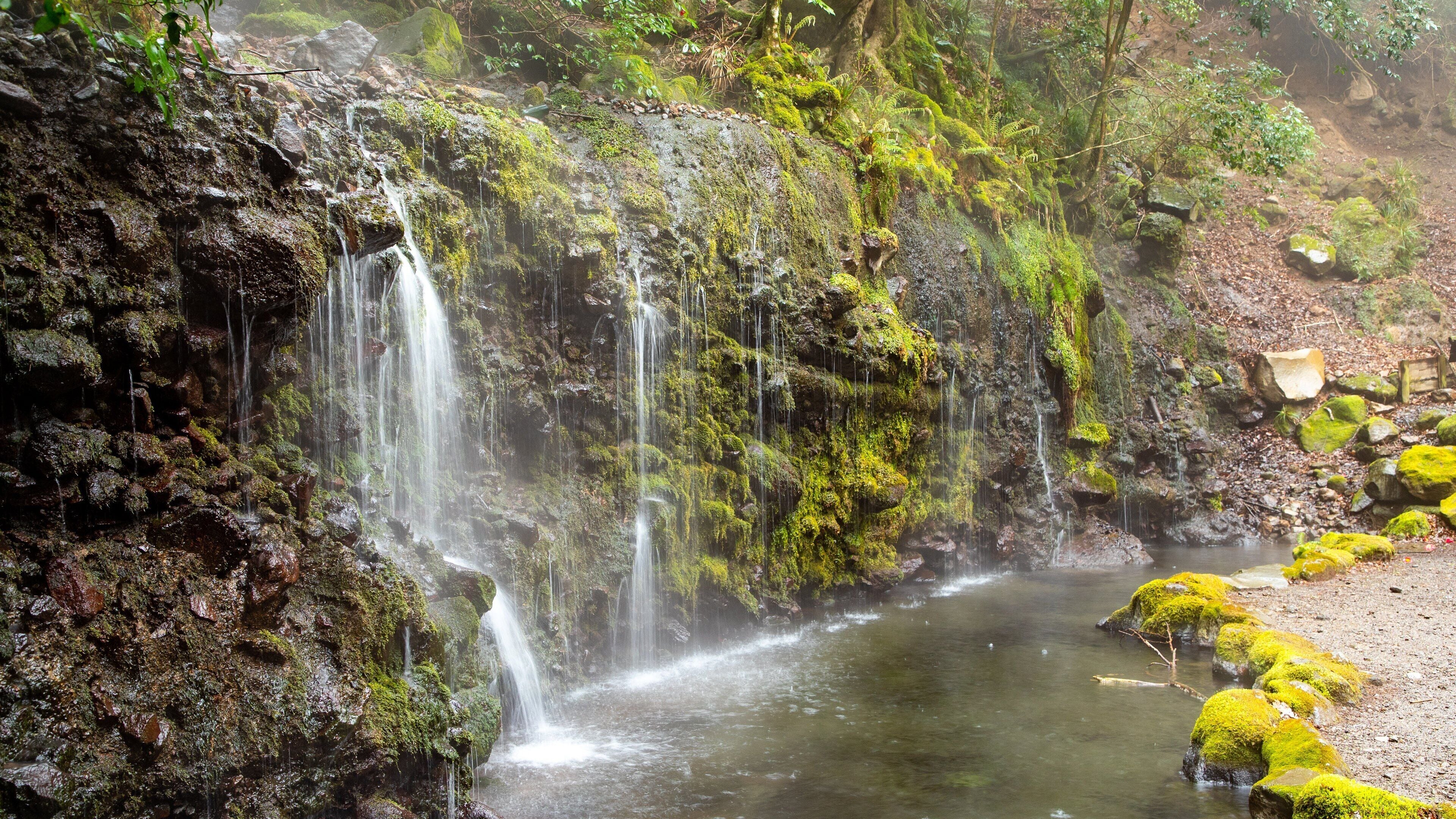 Chisuji Falls which includes a waterfall