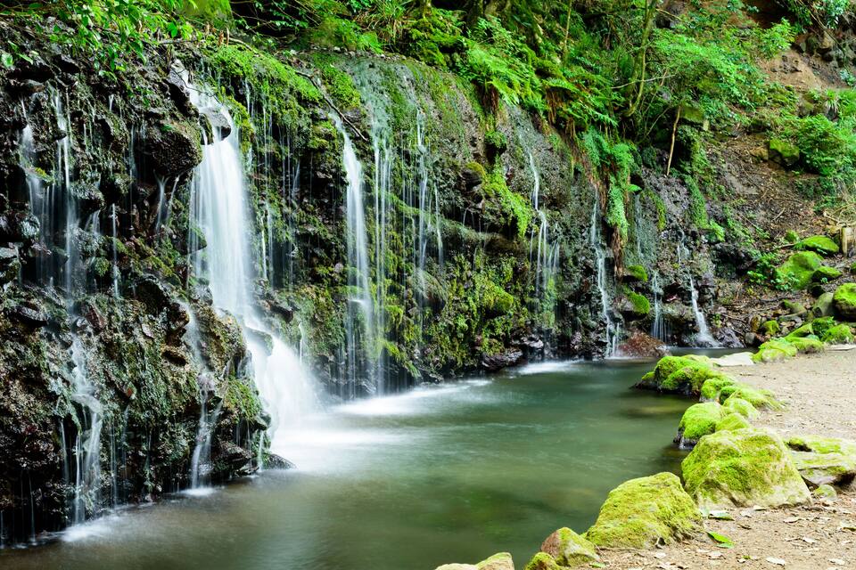 Ein mehrstufiger Wasserfall stürzt über moosbewachsene Felsen in einen ruhigen Fluss.