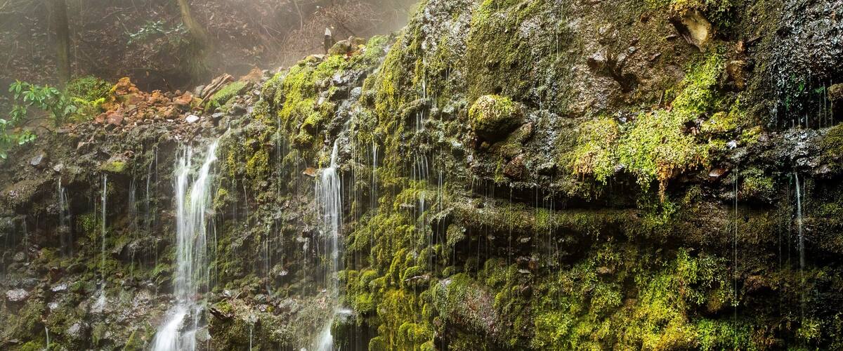 Chisuji Falls featuring a cascade