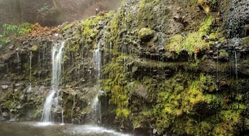 Chisuji Falls featuring a cascade