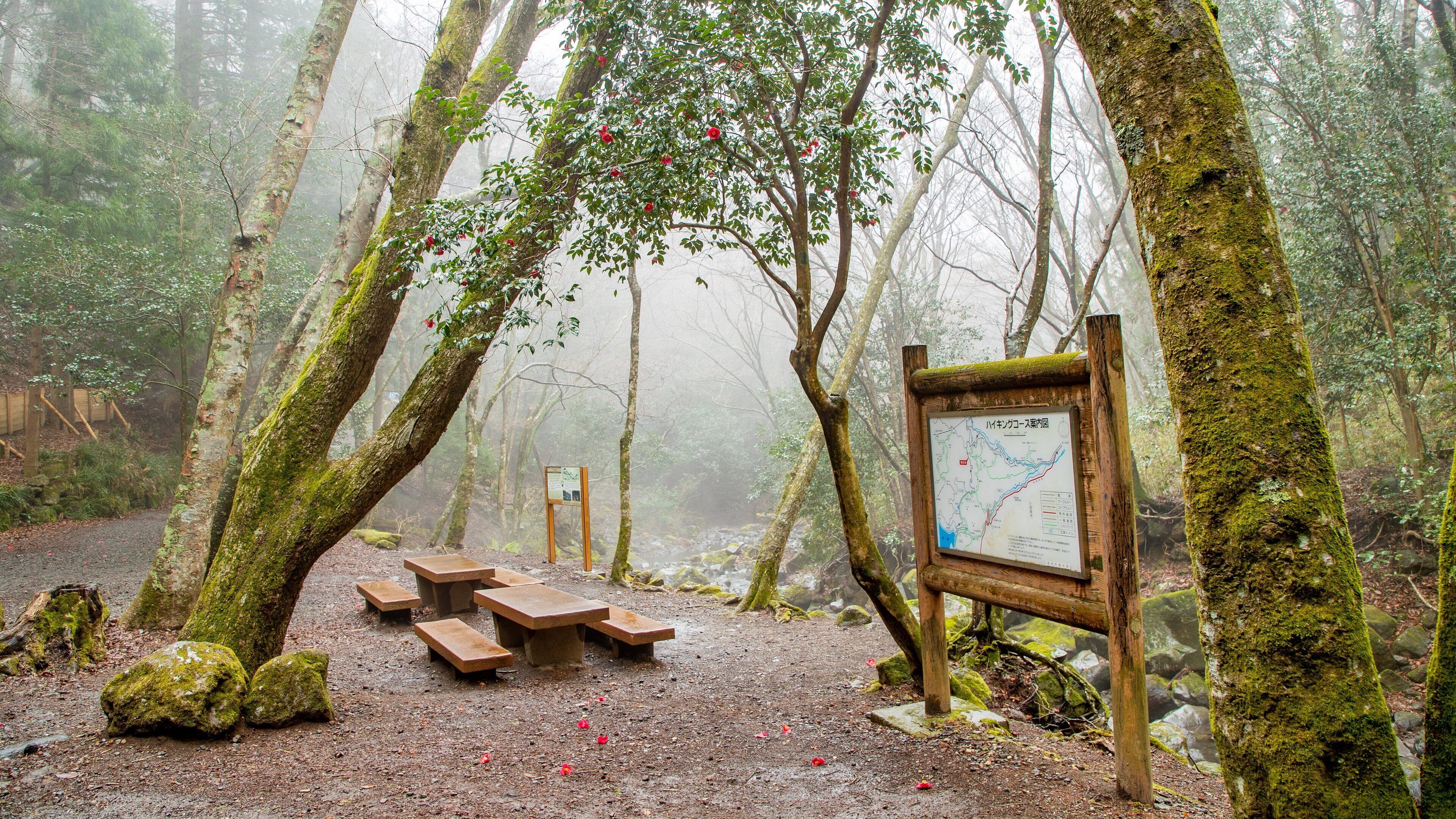 Chisuji Falls showing signage, a garden and night scenes