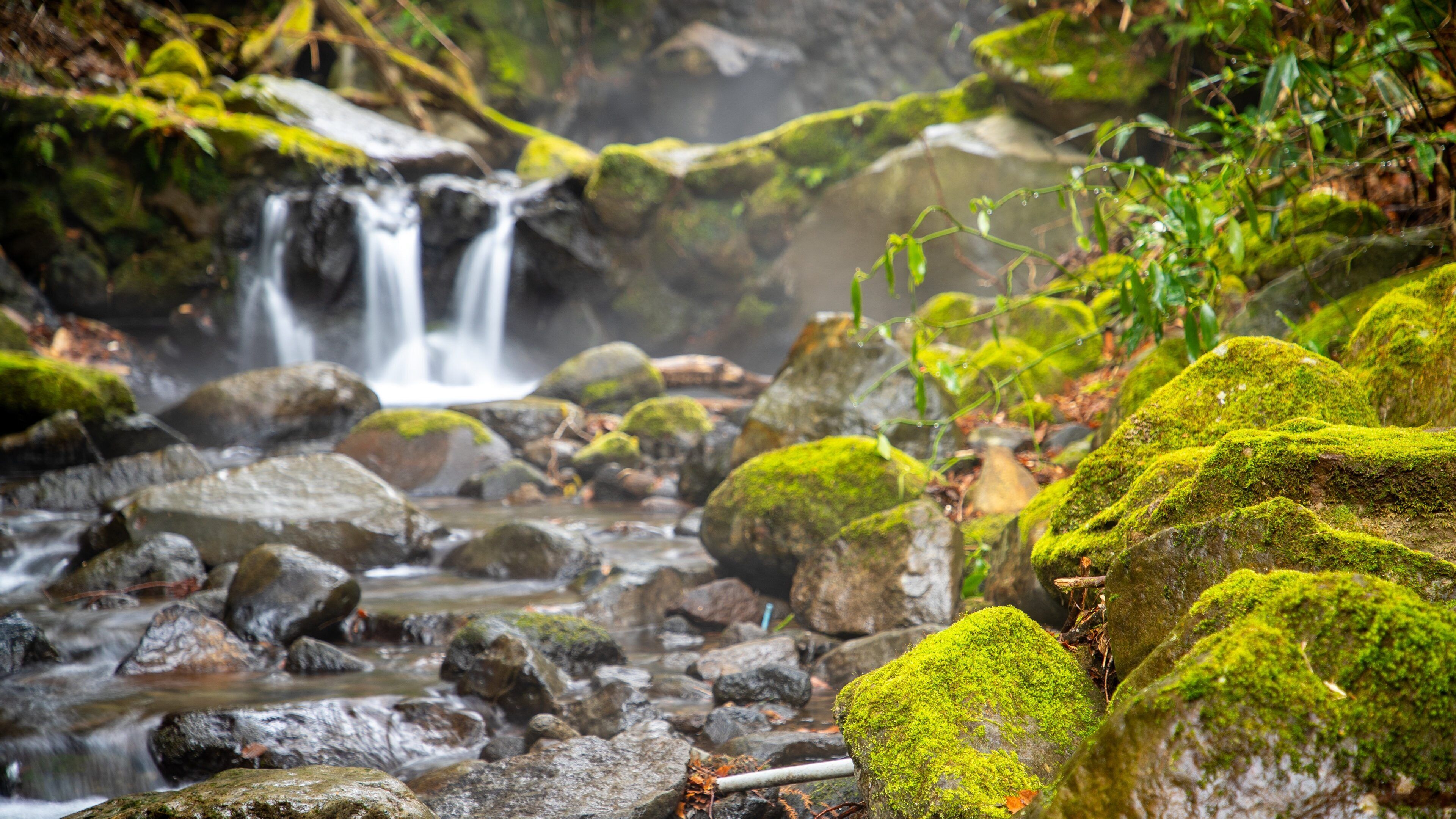Chisuji Falls showing a river or creek