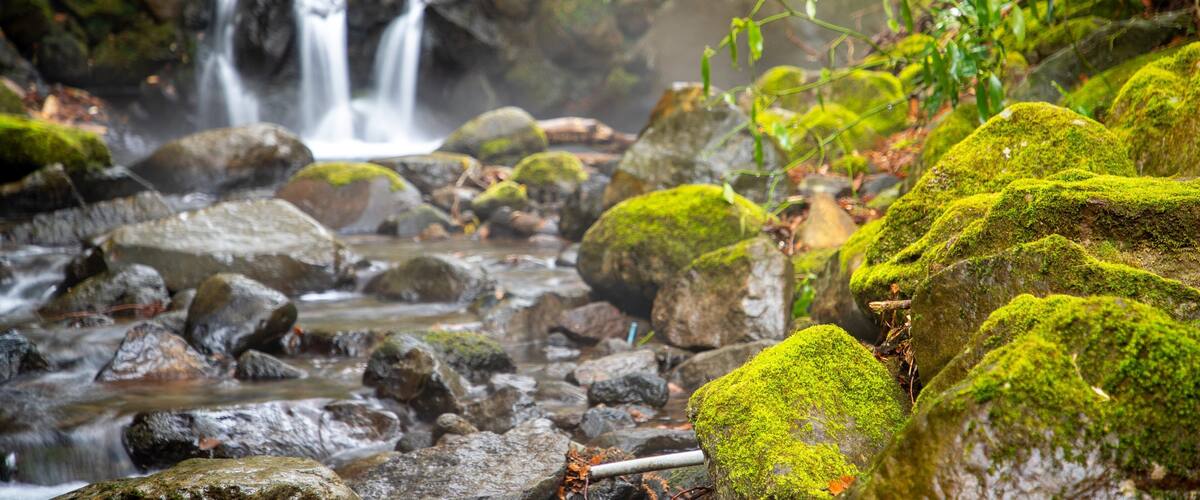 Chisuji Falls showing a river or creek