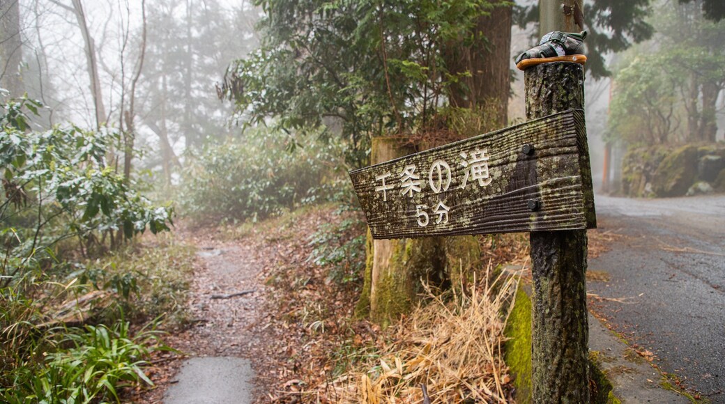 Chisuji Falls which includes signage and a park
